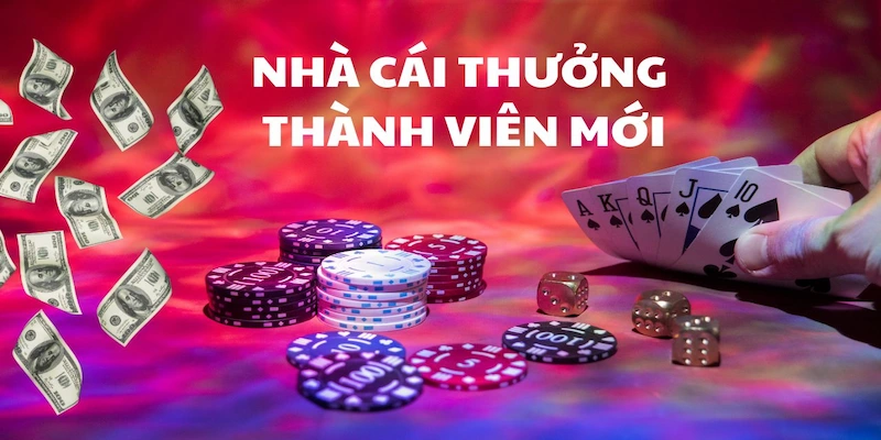 nhà cái có khuyến mãi tốt Đa dạng chương trình dành cho mọi đối tượng