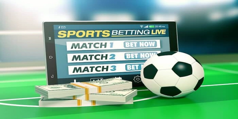 Cập nhật mẹo cá cược từ bet thủ Mẹo đọc kèo hiệu quả từ bet thủ