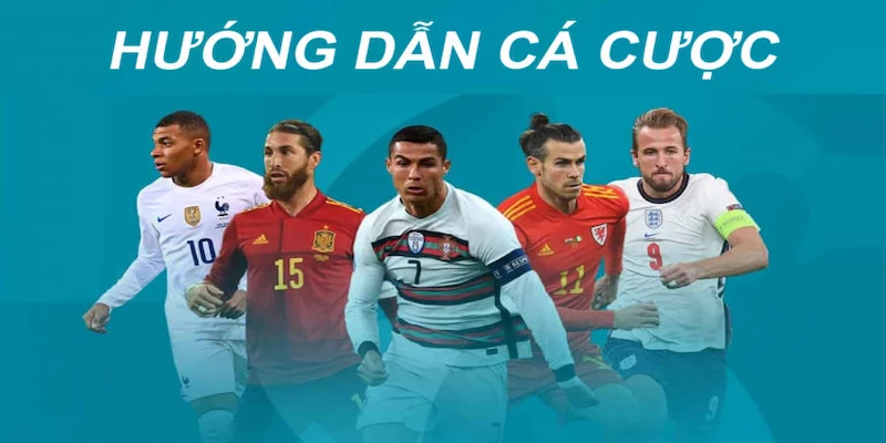 Hướng dẫn cá cược Tại sao cần có hướng dẫn cá cược bài bản?