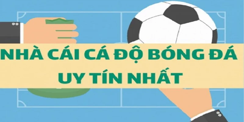 nhà cái cá cược bóng đ Tiêu chí đánh giá nhà cái cá cược bóng đá uy tín