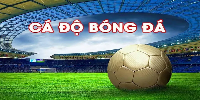 nhà cái cá cược bóng đ Tổng quan về thị trường nhà cái cá cược bóng đá hiện nay